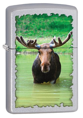 Zippo Souvenir Moose Pond (205-078179)