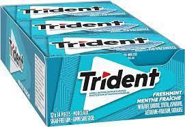 Trident Slab Freshmint 12's x12 per case